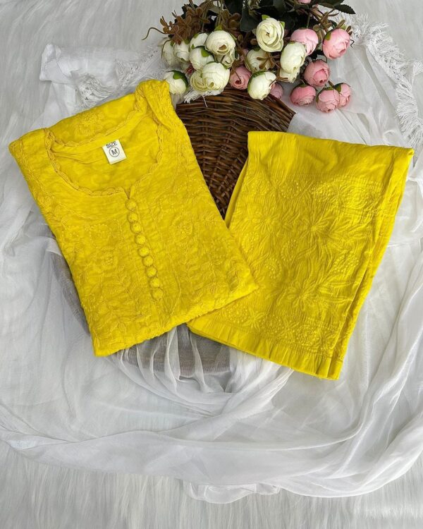 Brasso chikankari coord set