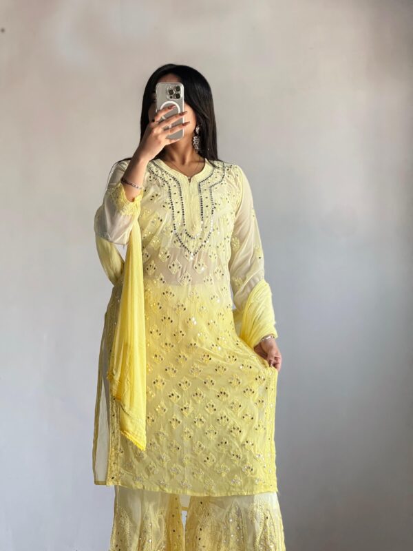 Georgette Chikankari 3 Piece Mirror Dyed Set with Coordinating Inner
